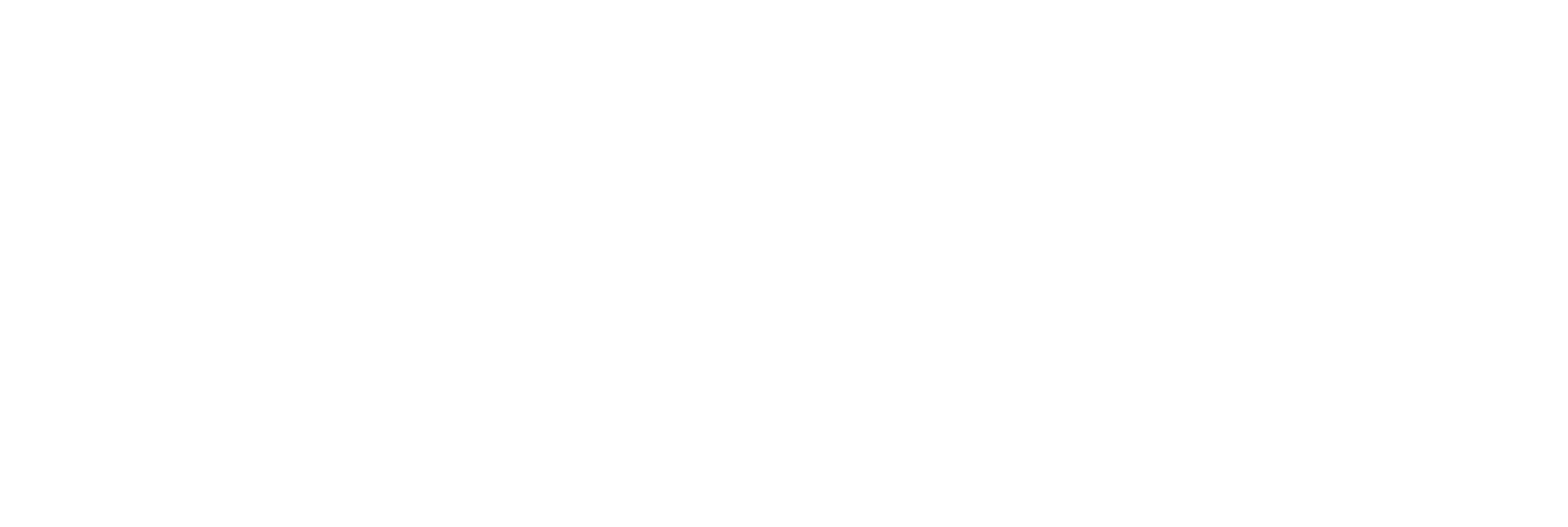 Universidad Finis Terrae